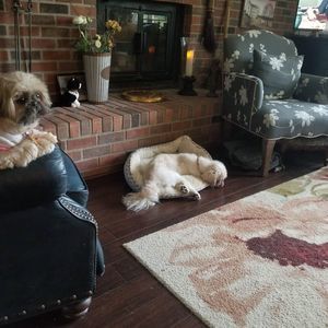 Meet your Posher, Diana